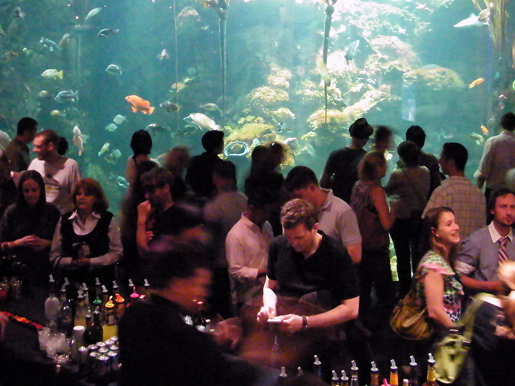 Lunar New Year NightLife  California Academy of Sciences